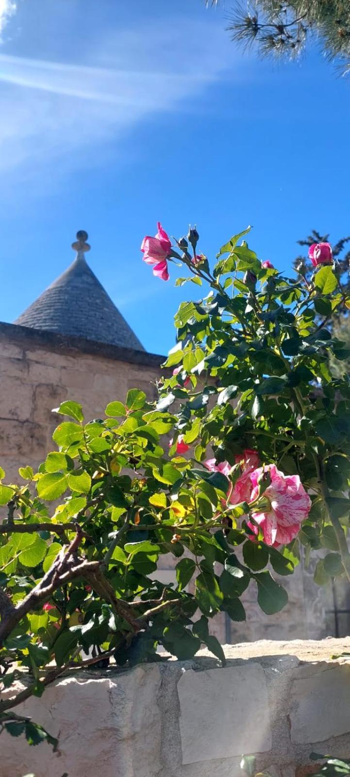Il Trullo Delle Rose, Monopoli By Il Pumo Di Puglia Villa Cozzana Eksteriør billede